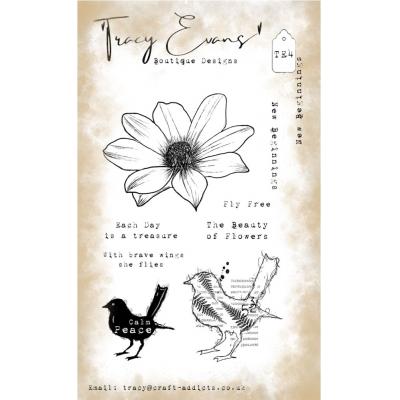 Tracy Evans Stempel - New Beginnings
