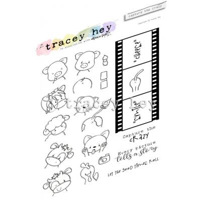 Tracey Hey Stempel -  Capture the Crazy