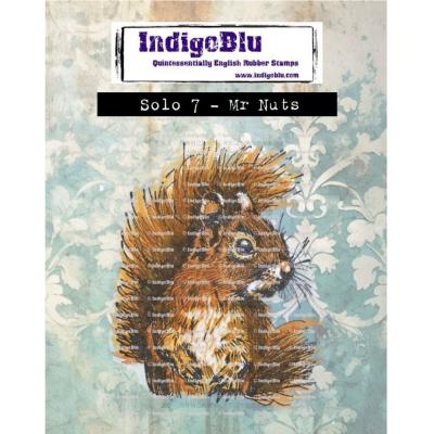 IndigoBlu Stempel - Mr Nuts