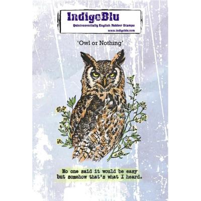 IndigoBlu Stempel - Owl or Nothing