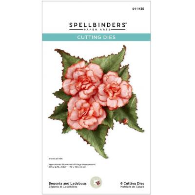Spellbinders Paper Arts Etched Dies - Begonia and Ladybugs