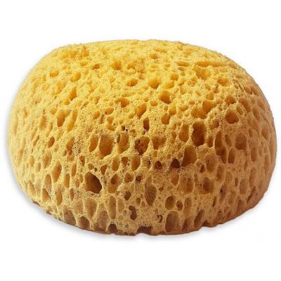 Stamperia Art Stories - Sponge Paint