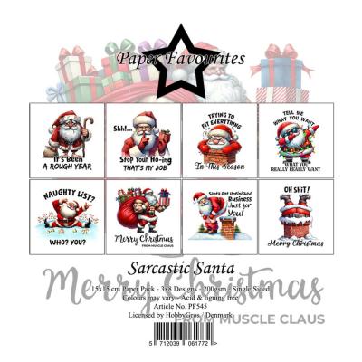 Paper Favourites Paper Pack - Sarcastic Santa