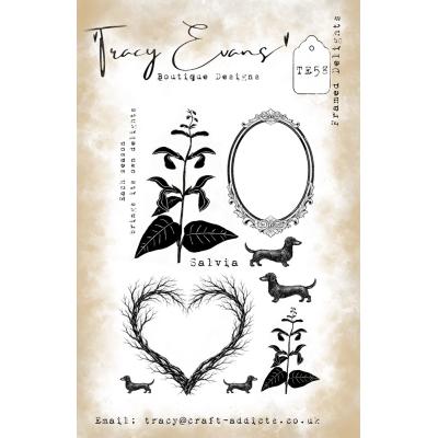 Tracy Evans Stempel - Framed Delights