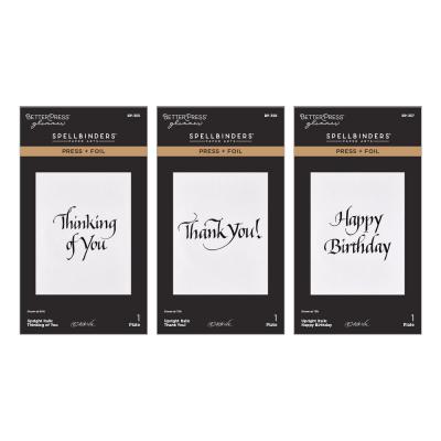Spellbinders Press Plates - Upright Italic Everyday Sentiments Bundle