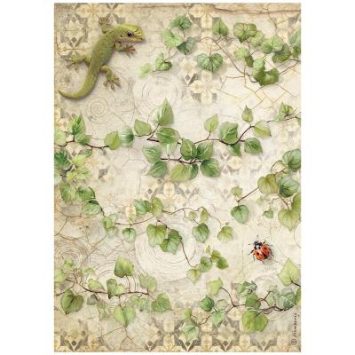 Stamperia All Around Rice Paper - Ivy