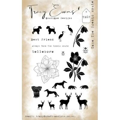 Tracy Evans Stempel - Take The Scenic Route