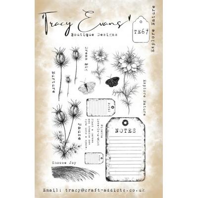Tracy Evans Stempel - Explore Nature