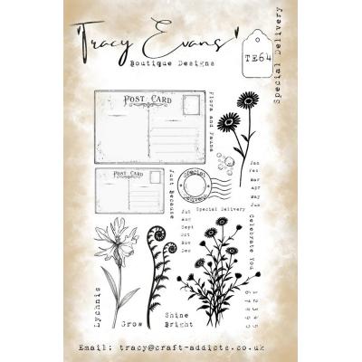Tracy Evans Stempel - Special Delivery