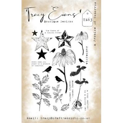 Tracy Evans Stempel - A Promise Of Tomorrow