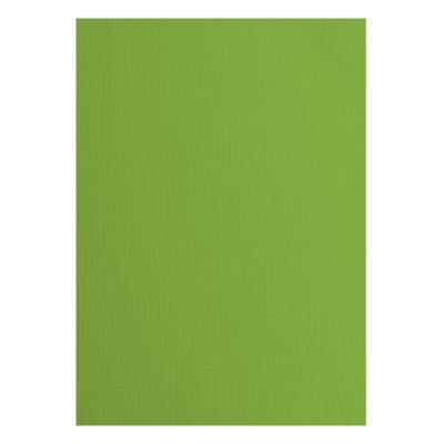 Vaessen Creative Tonkarton (texturiert) - Frog