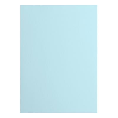 Florence Tonkarton (glatt) - Ocean