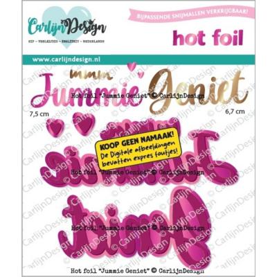 CarlijnDesign Hot Foil Plate - Jummie Geniet (NL)