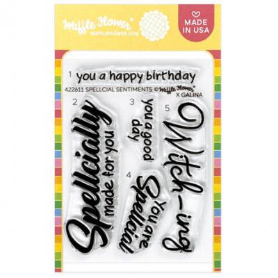 Waffle Flower Stempel - Spellcial Sentiments
