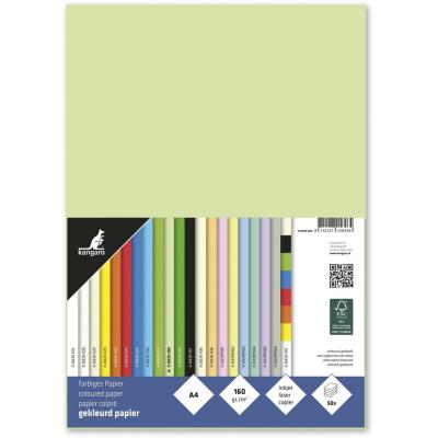 Kangaro KTC Paper - Light Green