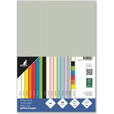 Kangaro KTC Paper - Pastel Grey